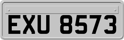 EXU8573