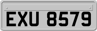EXU8579