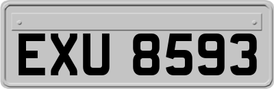 EXU8593