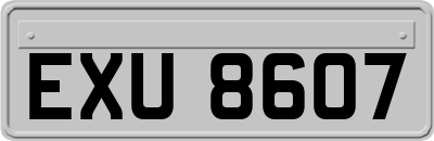 EXU8607