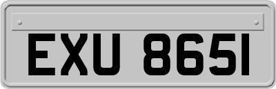EXU8651