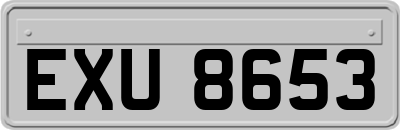 EXU8653