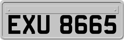 EXU8665