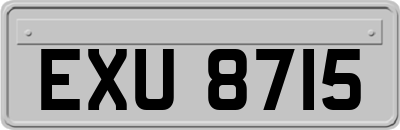 EXU8715