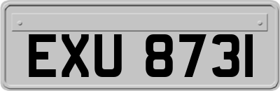 EXU8731