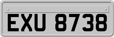 EXU8738