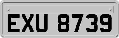 EXU8739