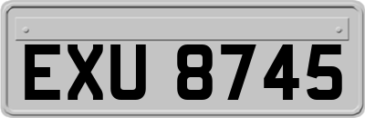 EXU8745