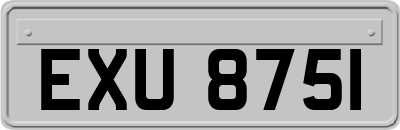 EXU8751