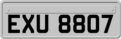 EXU8807