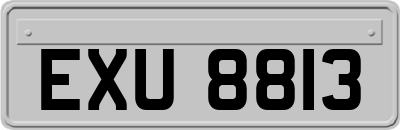 EXU8813