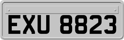 EXU8823