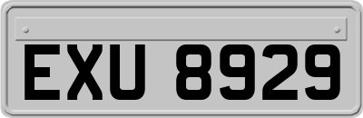 EXU8929