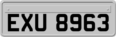 EXU8963