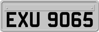 EXU9065