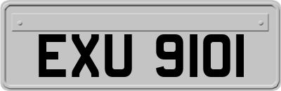 EXU9101
