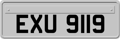 EXU9119