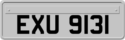 EXU9131