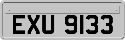 EXU9133