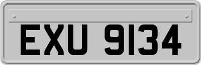 EXU9134