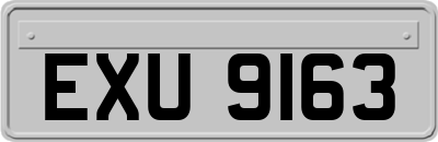 EXU9163