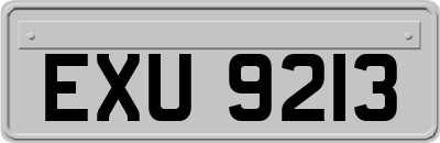 EXU9213