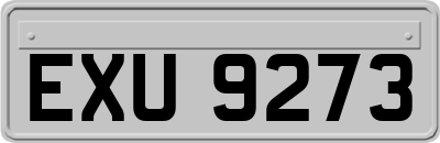EXU9273