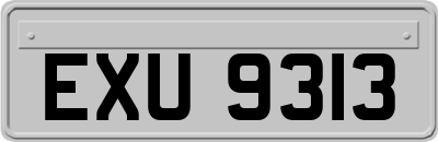 EXU9313