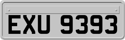EXU9393