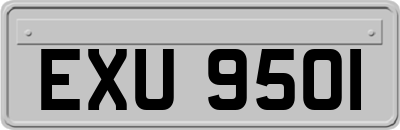 EXU9501