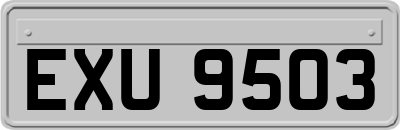 EXU9503