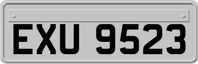 EXU9523