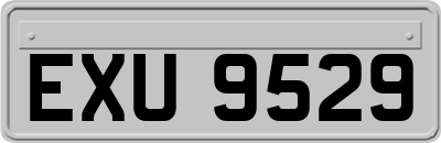 EXU9529