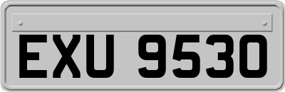EXU9530