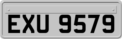 EXU9579