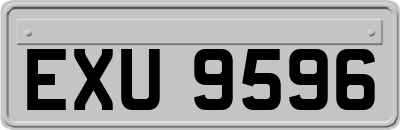 EXU9596