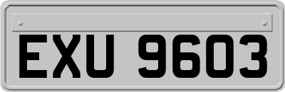EXU9603
