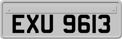 EXU9613