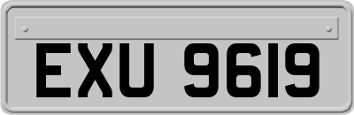 EXU9619
