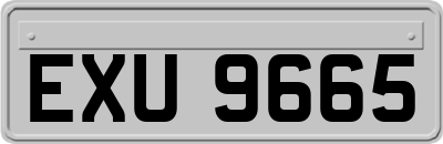 EXU9665