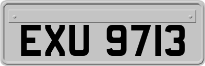 EXU9713