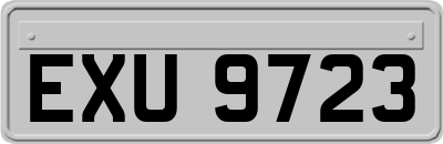 EXU9723