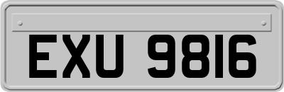 EXU9816
