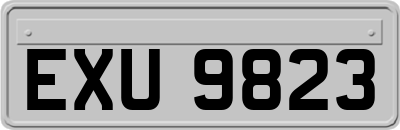 EXU9823