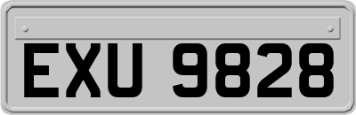 EXU9828