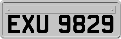 EXU9829