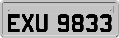 EXU9833