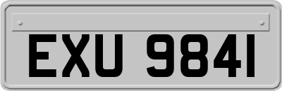 EXU9841