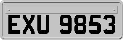 EXU9853