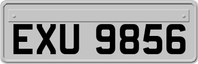 EXU9856